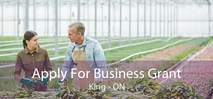 Apply For Business Grant King - ON